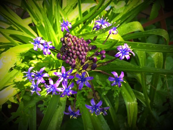 rblog-20150428203749-02.jpg