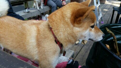 rblog-20160405044553-09.jpg