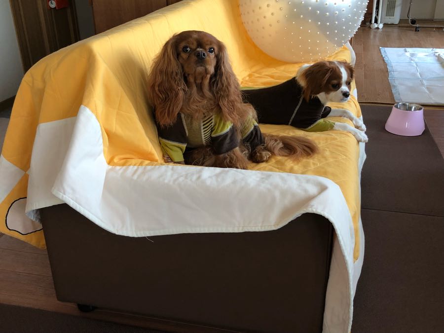 rblog-20181121083951-02.jpg