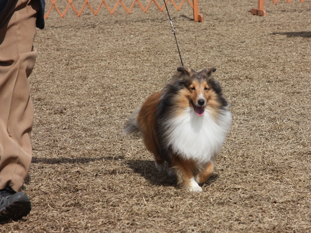 IMG_1113 - コピー.JPG