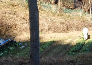 PC060032.JPG