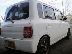 DSC03534.gif