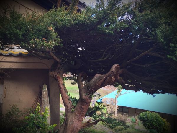rblog-20160327163919-08.jpg