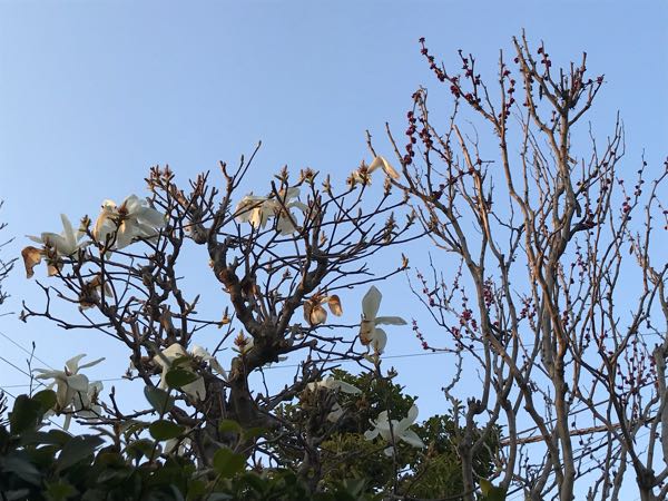 rblog-20180325184946-00.jpg