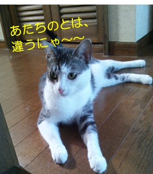 20120828_2.jpg