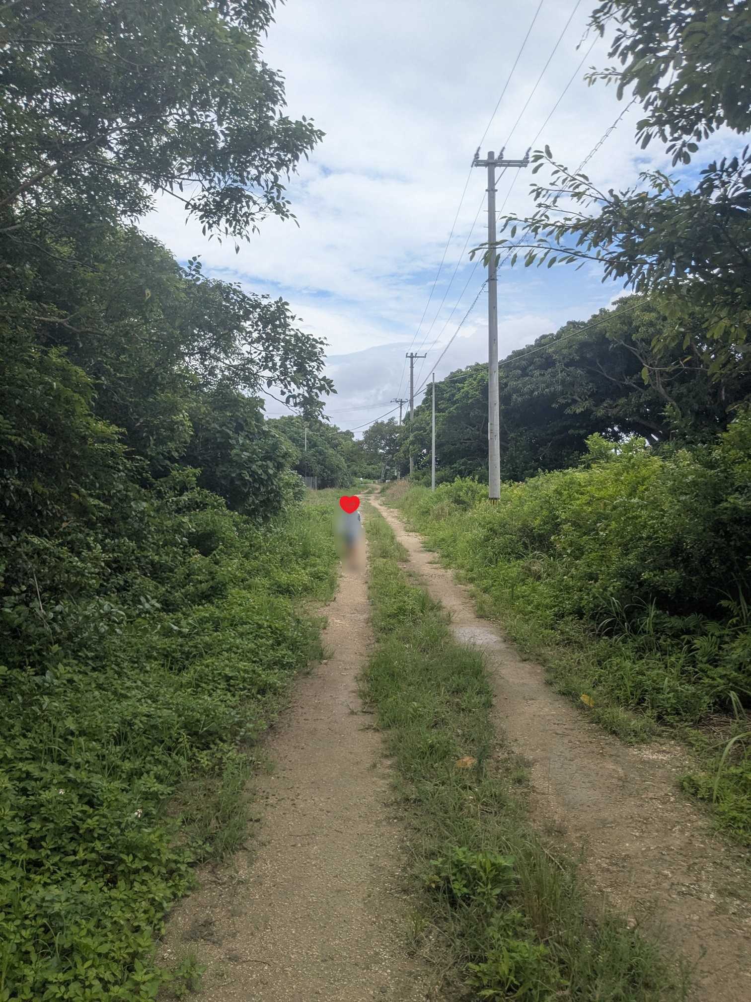 西表島　海猫　アクティビティツアー　鳩間島 子どもも歩いて散策