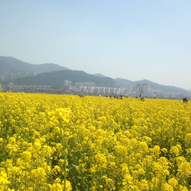 rblog-20140409182019-00.jpg