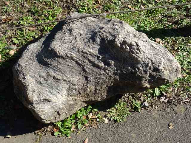 DSC07553_R.JPG