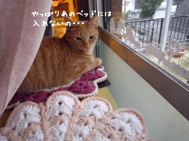 こわいもんね
