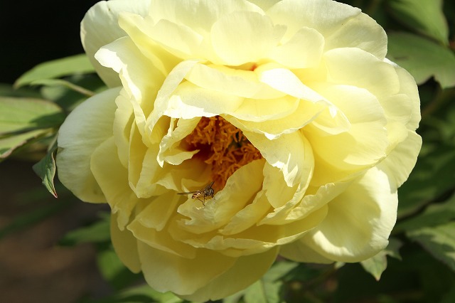 IMG_7886.jpg