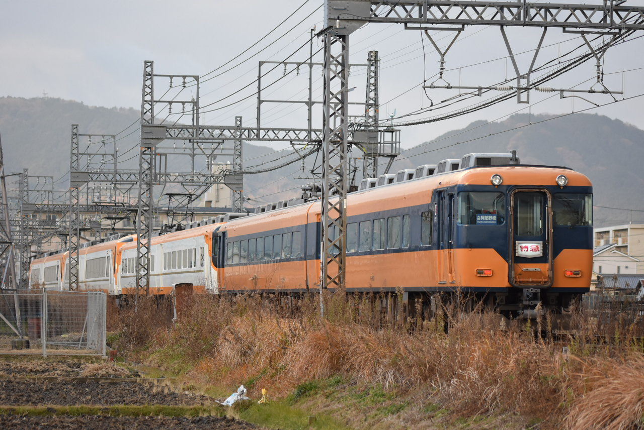 DSC_4774.JPG