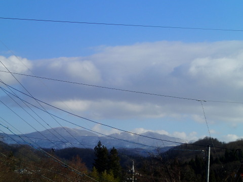 yuki131220004