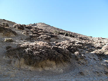 a IMG_0049.jpg