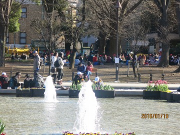 IMG_0203b.jpg