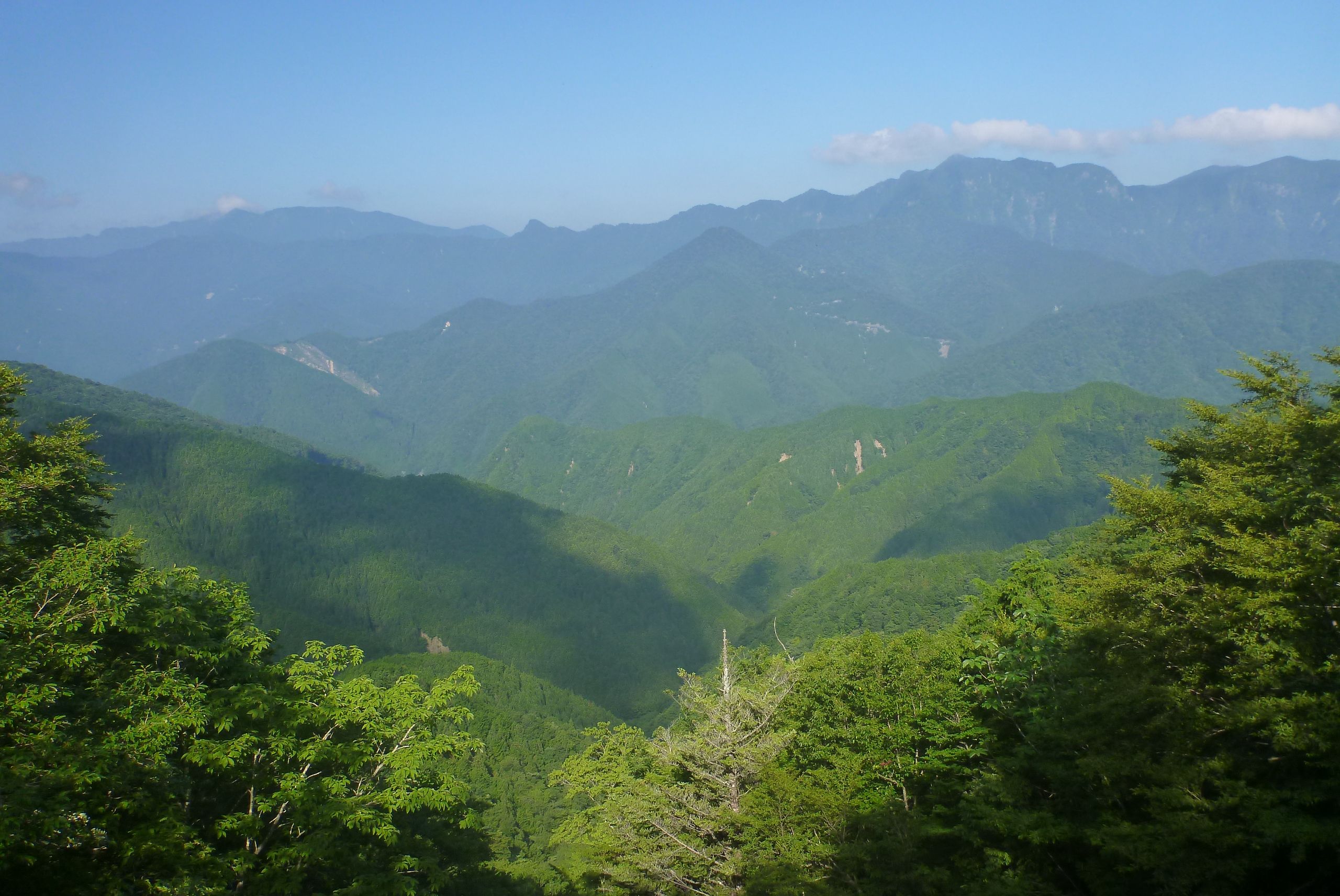 5ページ目の 山登り 和歌 山オバチャンの日記 楽天ブログ