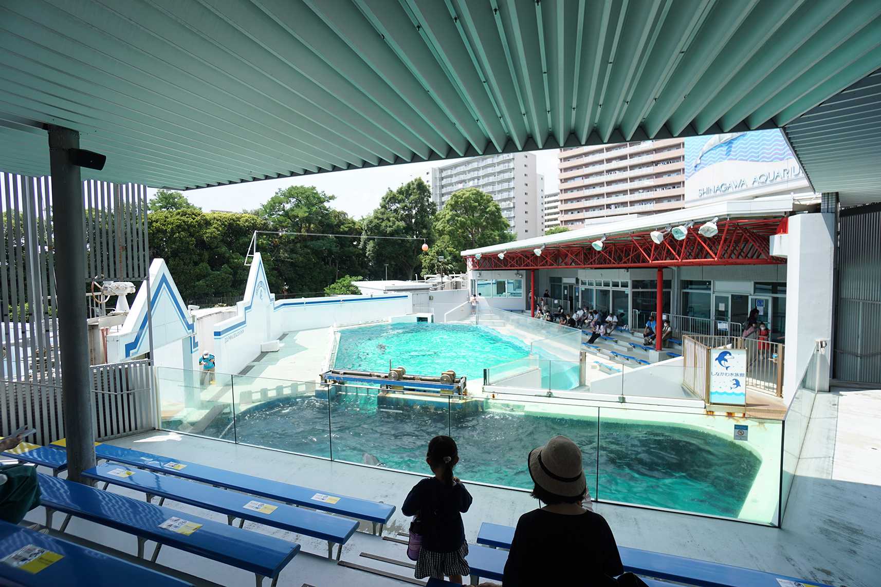 しながわ水族館へ行こう！ | イルカカメラとわんわんWinとねこMac - 楽天ブログ