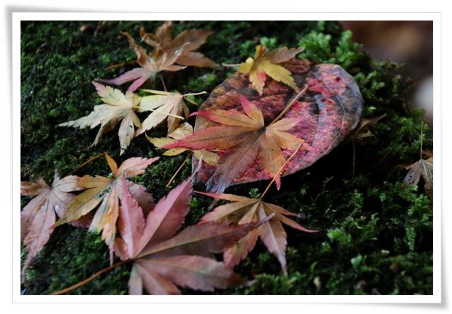 卯辰山三社-5 手水鉢-4 15.11.16