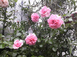 2012-04-20 14:46:37