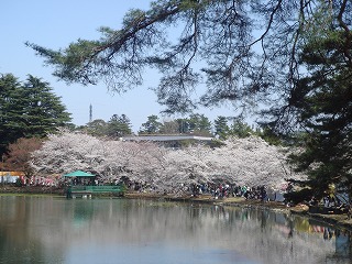 s-DSC04690.jpg
