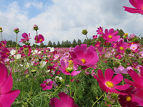 IMG_6200.jpg