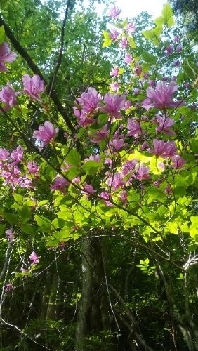 rblog-20180509052956-07.jpg