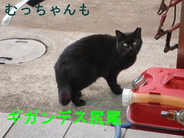 むうちゃん.JPG