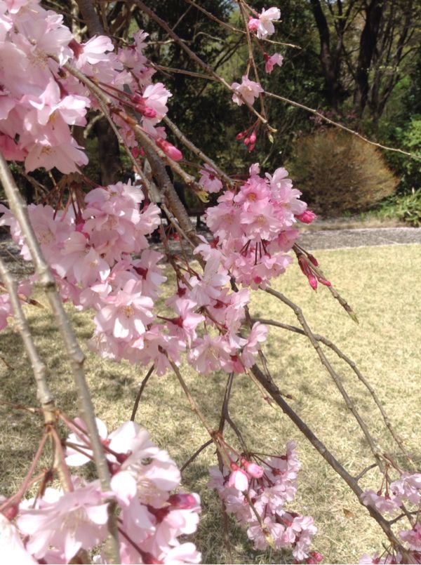 rblog-20160410005129-01.jpg