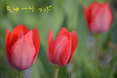 0433yvaM.jpg