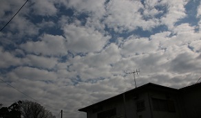 IMG_6966-31.jpg
