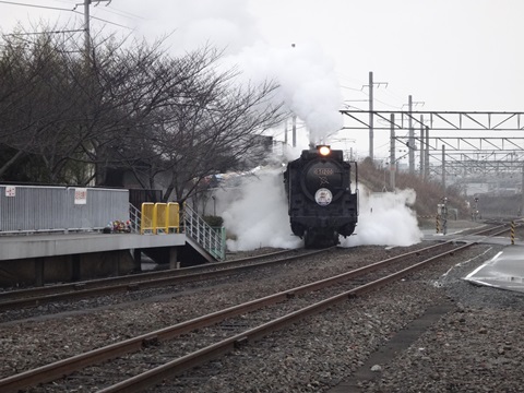 DSC00335.JPG