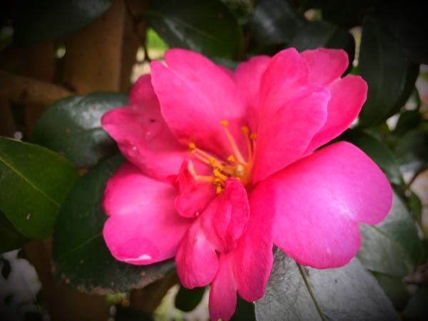 rblog-20151029145804-04.jpg