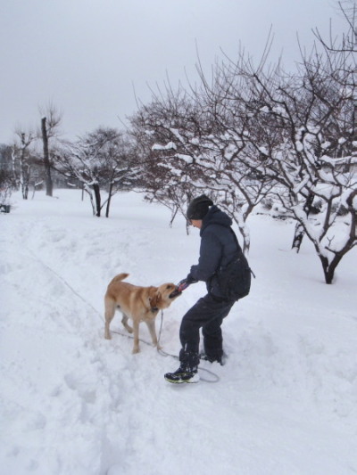 ねねままと散歩2.jpg