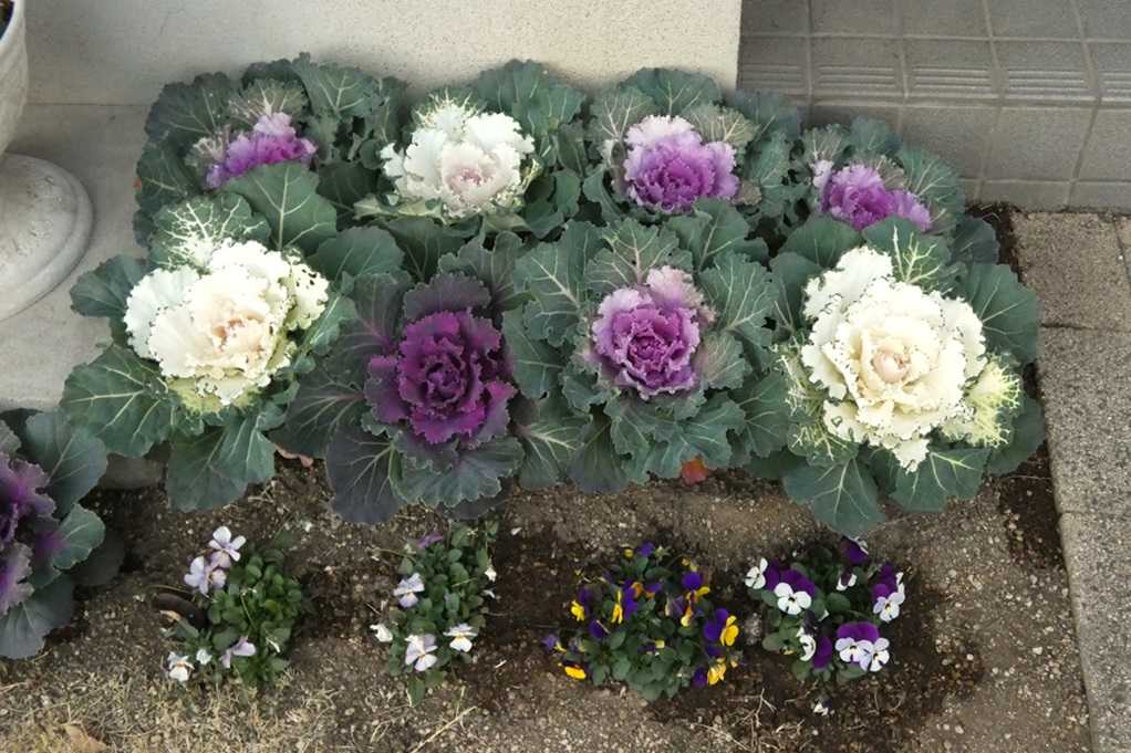 515