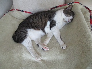 IMG_4584ss.jpg