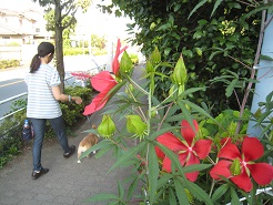 IMG_0809.JPG