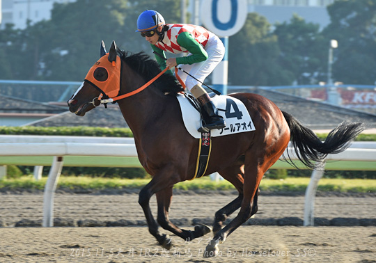 04CoolAoi110515tck1R_03