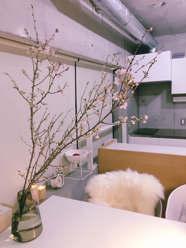 rblog-20170320014119-00.jpg