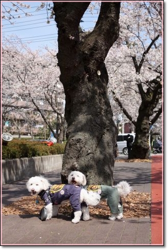 EOS Kiss X21204100370_480.jpg