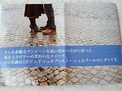 リーフレット.jpg