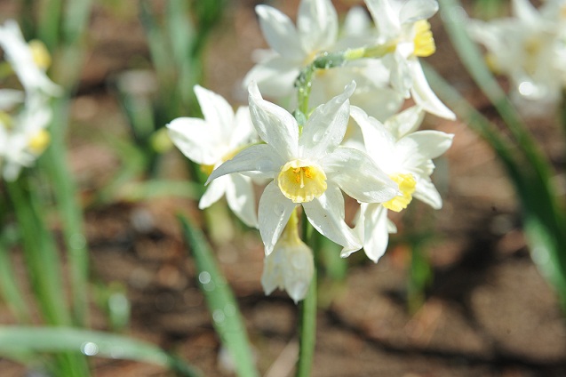 2013.3.22 004.JPG