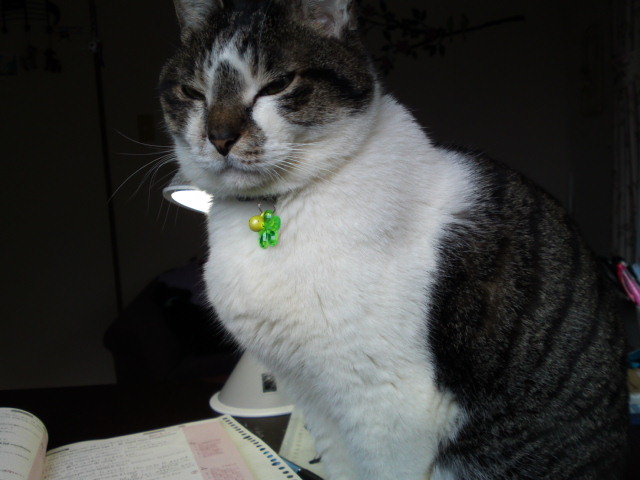 2012-02-23 15:31:59