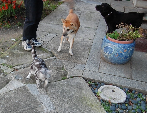 DSC_0025.JPG