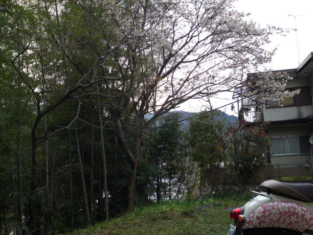 2012-04-15 06:04:35