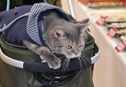IMG_6006-18.jpg