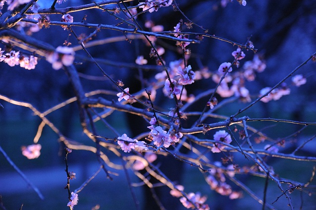 2013.3.22 059.JPG