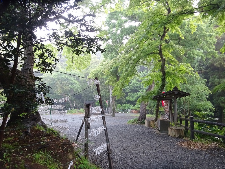DSC01623133.jpg
