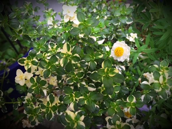 rblog-20160427183111-01.jpg