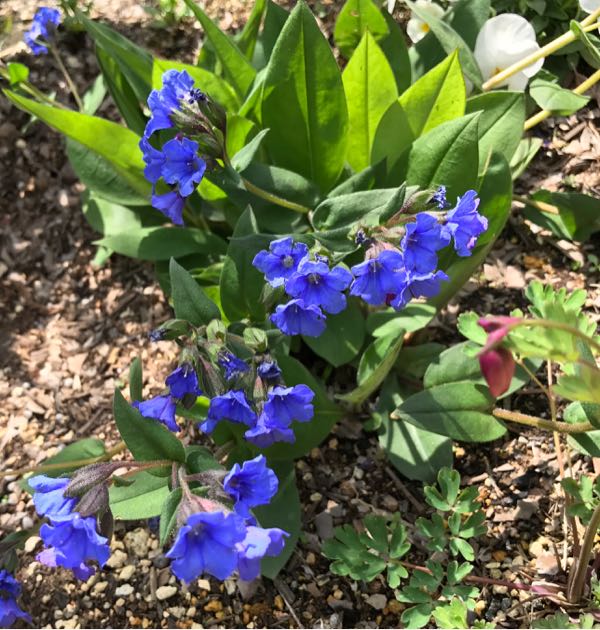 rblog-20170422222153-00.jpg