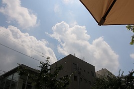 IMG_6005-21.jpg