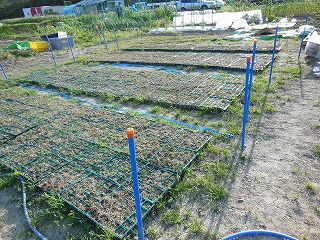 DSCN0913.jpg